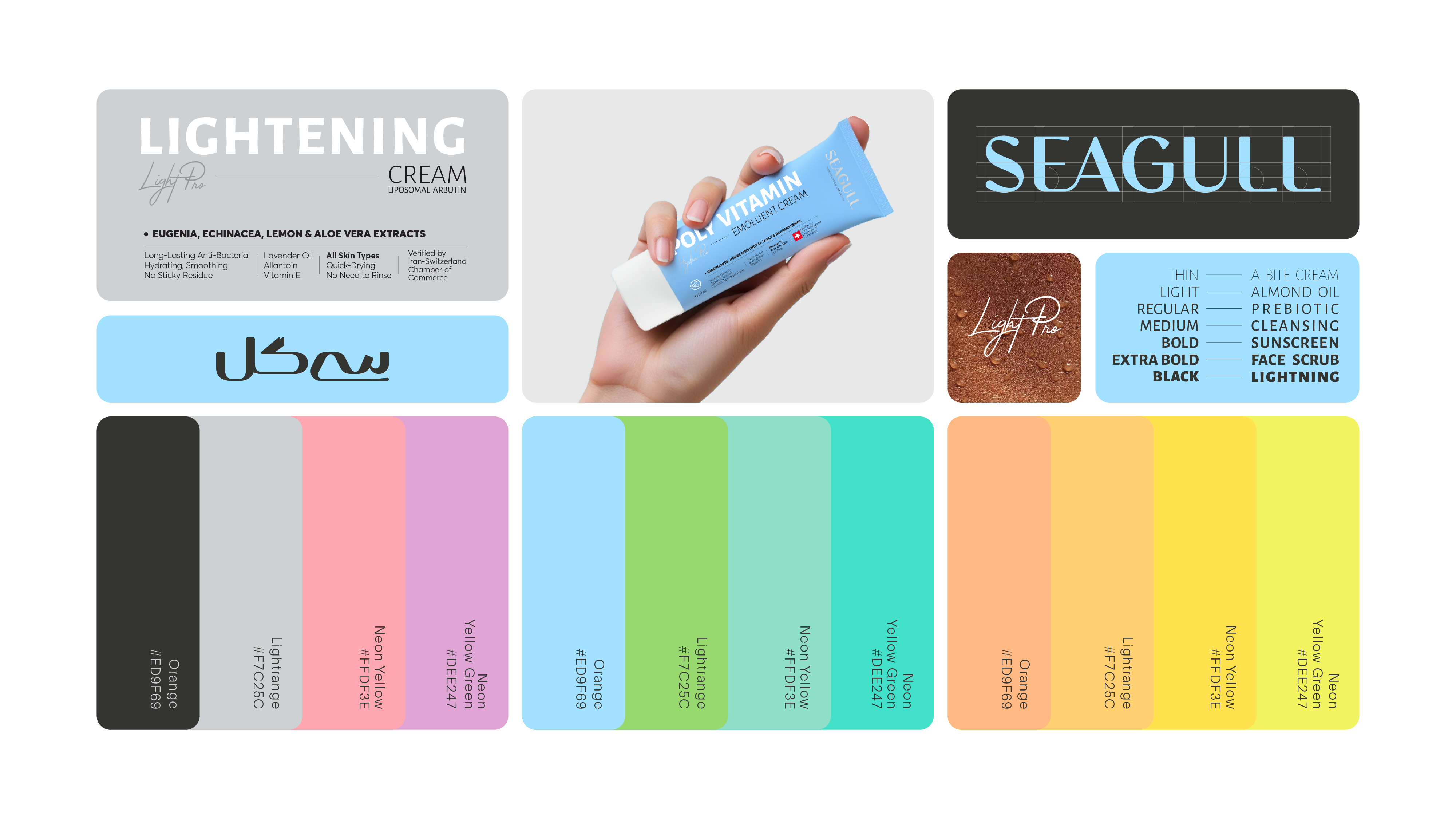Visual Identity for seagull